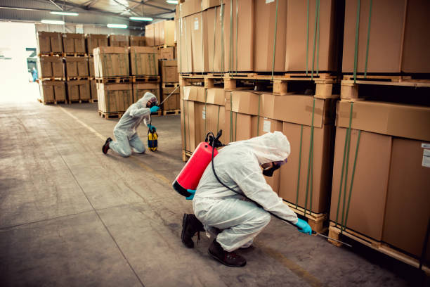 Best Emergency Pest Control  in Glenwood, GA