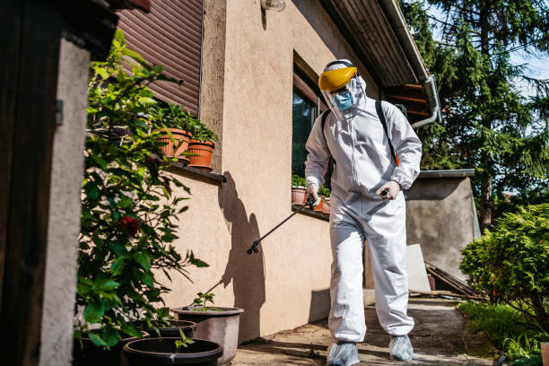 Best Flea Control Services  in Glenwood, GA