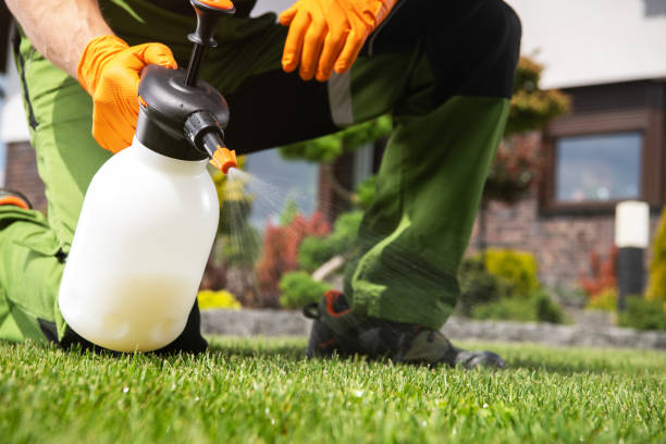 Best Exterminator Services  in Glenwood, GA