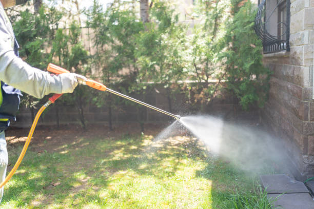 Best Affordable Pest Control Services  in Glenwood, GA