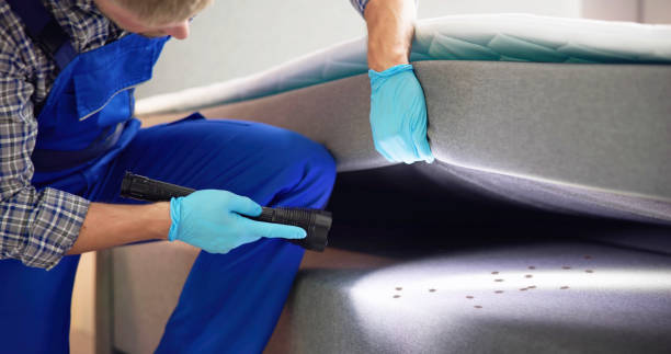 Best Pest Control for Restaurants  in Glenwood, GA