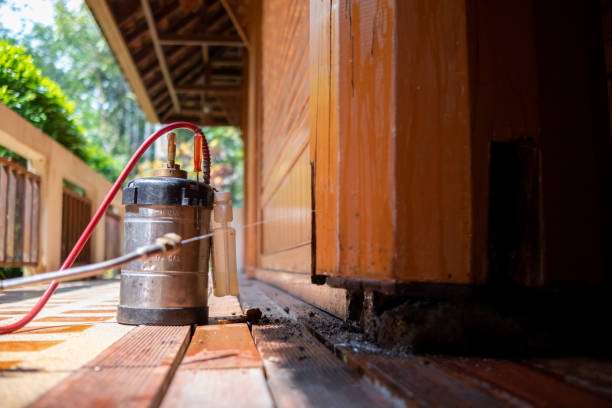 Best Cockroach Control Services  in Glenwood, GA