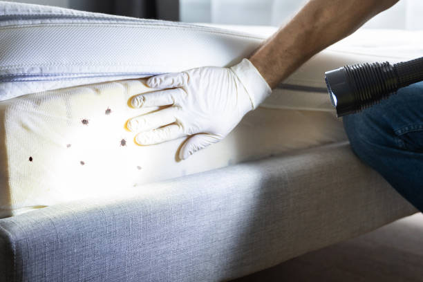 Best Rat Extermination Near Me  in Glenwood, GA