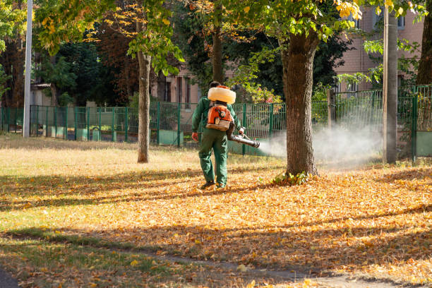 Best Bed Bug Extermination  in Glenwood, GA