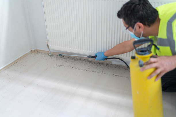 Professional Pest Control in Glenwood, GA