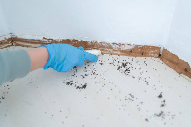 Pest Control for Restaurants in Glenwood, GA