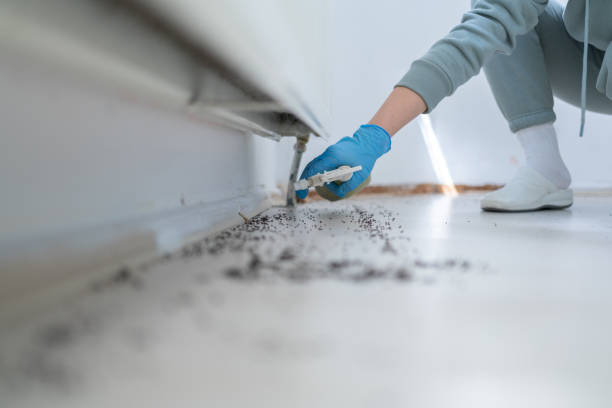 Wildlife Control Services in Glenwood, GA