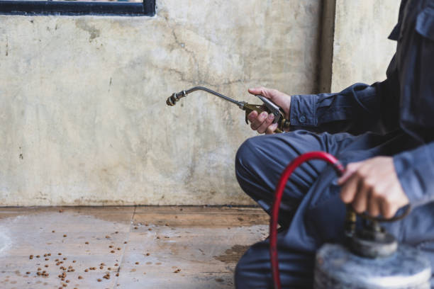 Best Pest Control Near Me  in Glenwood, GA